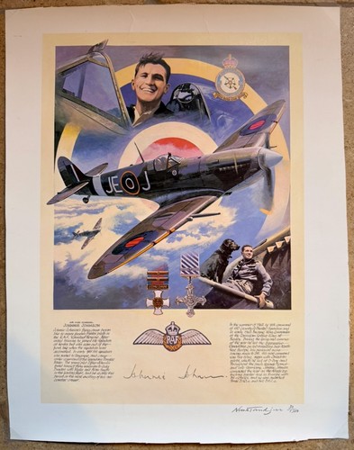 Aviation spitfires print with - aviation,