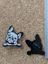 French Bull Dog 'Frenchie'