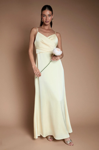 Coast lemon line dress - a-line,