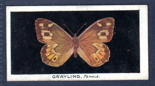 Grayling original 1920 s - grayling, 1920's