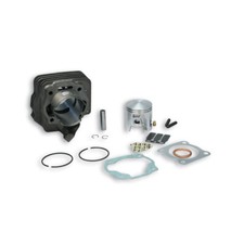 Malossi Cylinder D 47 Cast