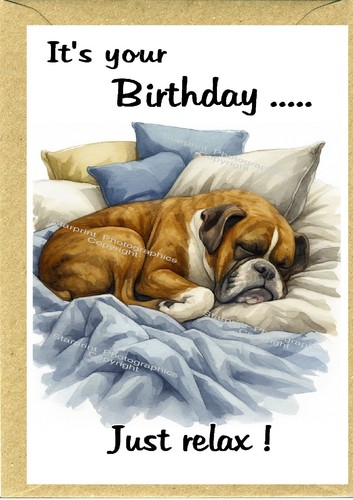 Boxer dog birthday - boxer,