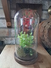 Glass Cloche With Wooden Base