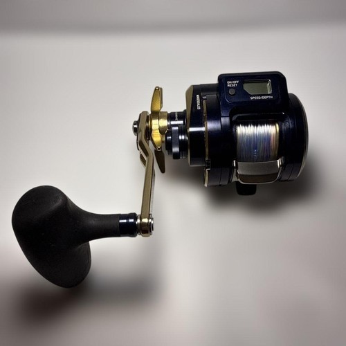 Daiwa saltiga 300 sj - daiwa, ic