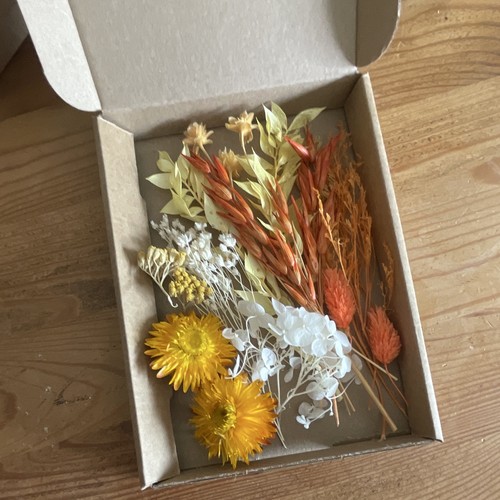 Bright yellow orange dried - bright,