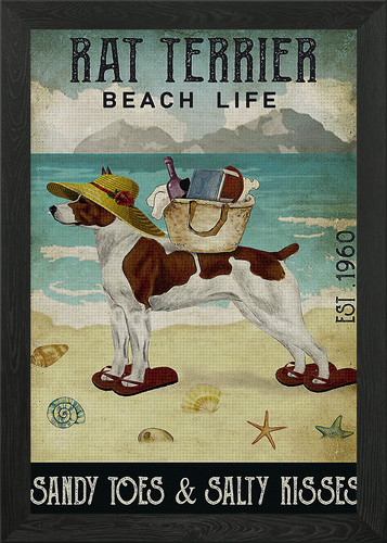 Rat terrier dog framed wall - dog,