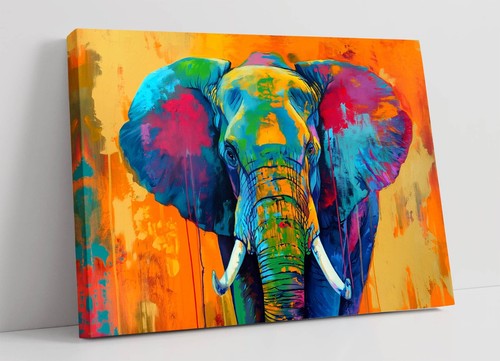 Cool multi colour - multi, elephant