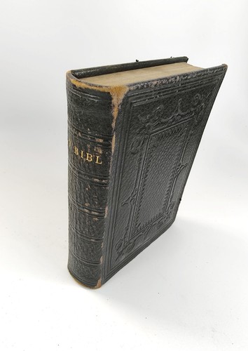 Vintage holy bible bibl - vintage,
