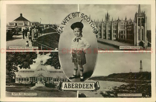 Aberdeen multi picture - multi,