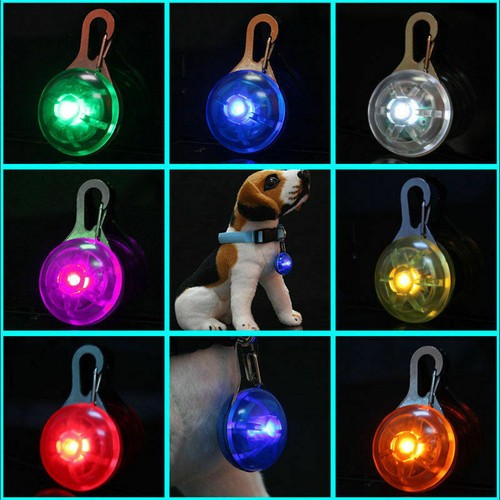 Led dog flashing tag - 2x,