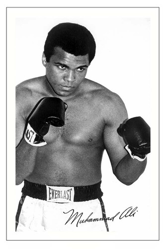 Muhammad ali signed autograph - muhammad,