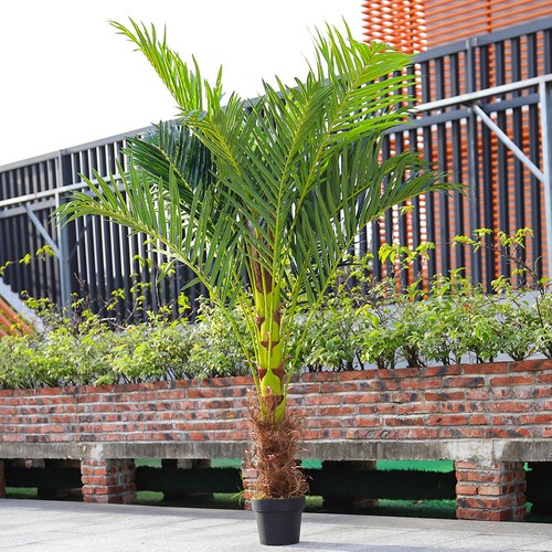 Large 180cm tall faux - tall,