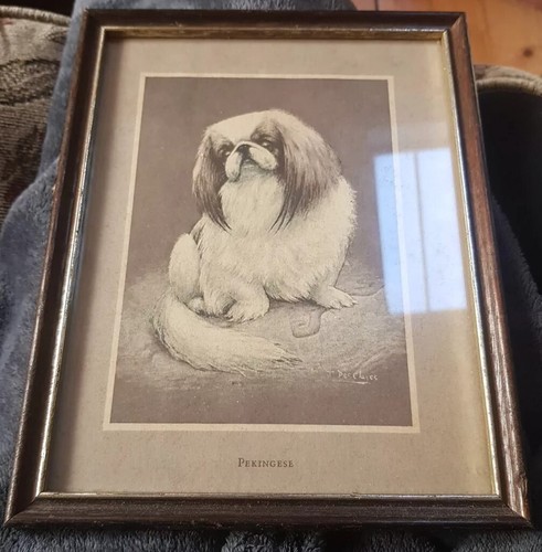 Pekinese dog print artist - pekinese,