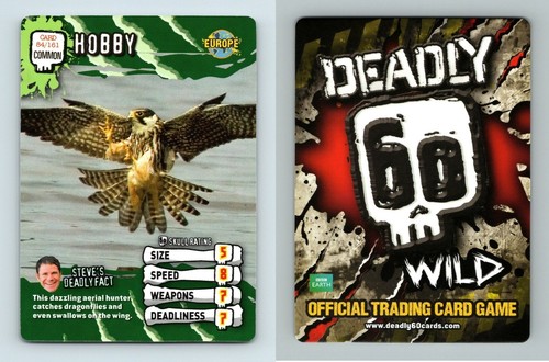 Hobby 161 deadly 60 - 60, wild