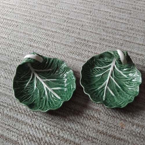 Bordello pinheiro cabbage a - pinheiro., cabbage.