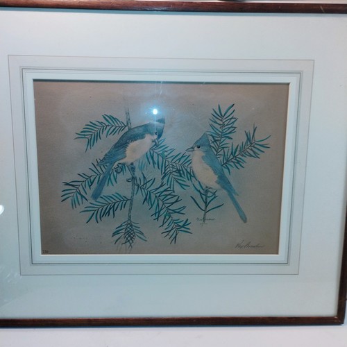 Rare rex brasher hand colored - brasher, hand-colored