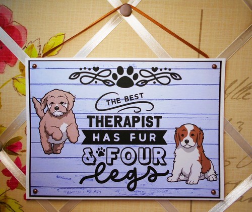 Cavapoo dogs sign the - cavapoo, best