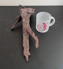 Mopani Bogwood Aquarium Decor