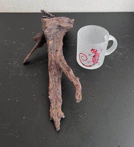 Mopani bogwood aquarium - mopani,