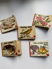 5 x Bancroft Tiddlers + 1 Odhams colour books