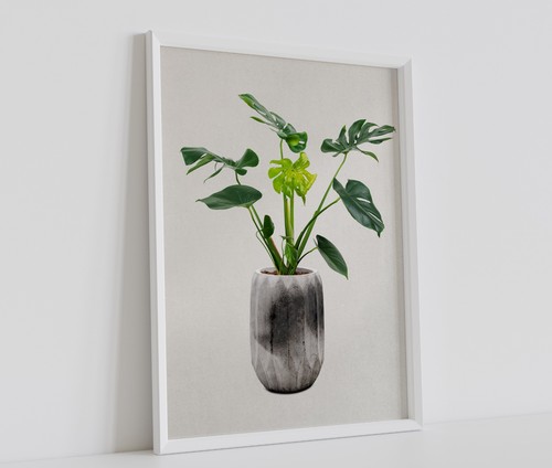 Plant poster botanical - poster,