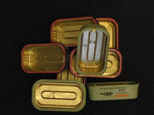Empty cleaned sardine - cleaned, tin