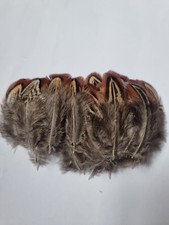 50 Mixed Almond Colour