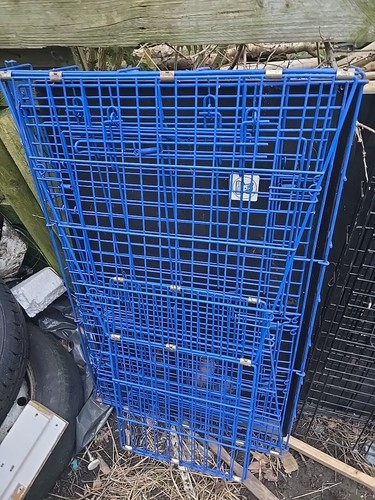 Dog pen - dog,