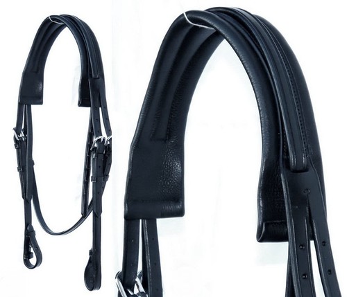 Fss anatomical headpiece - fss,