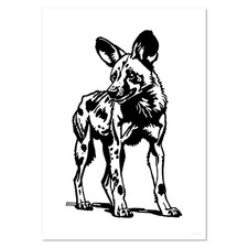 'African Wild Dog Standing' Wall Posters / Prints (PP045984)