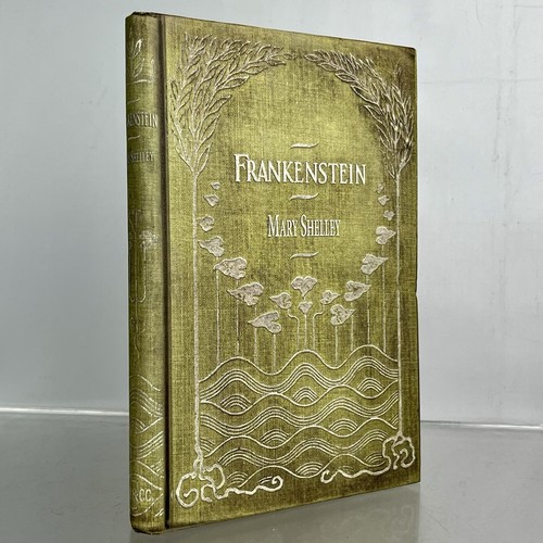 New frankenstein ereader - ereader, &