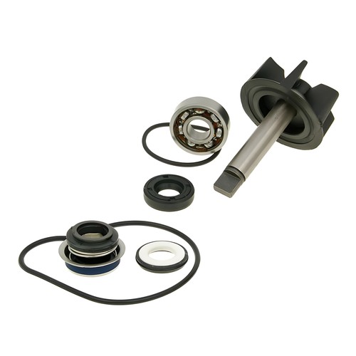 Vicma water pump - pump, kit