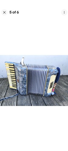 Parrot piano accordion - accordion, key