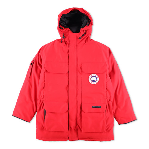 Canada goose expedition - goose,
