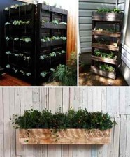 Wooden shipping pallets - wooden,