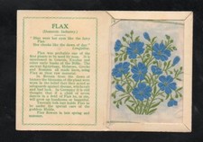 Kensitas Wix Silk flower and