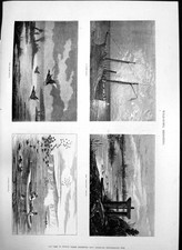 Old Wild Fowl Shooting Huttiers Decoys Cripple Stopping Night Haul 18 19th