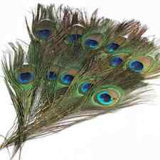 15X Natural Peacock Feathers Real Peacock Tail Feathers 25-30CM Feathers Decors