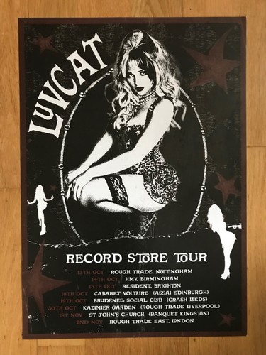 New luvcat 2025 record - new,