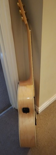Ephiphone 200 electro - ephiphone,