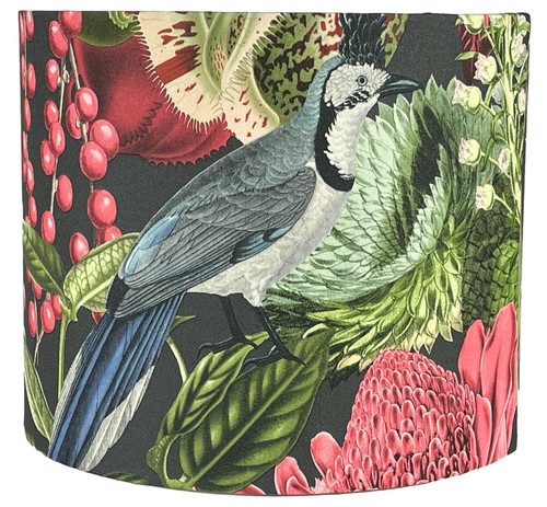 Tropical jungle animal bird - tropical,