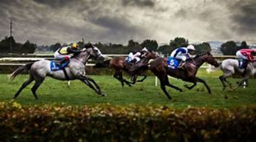 William hill betting - hill,