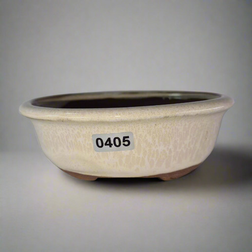 13cm glazed bonsai - bonsai, oval