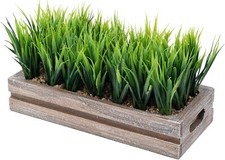 Tabletop Artificial Green