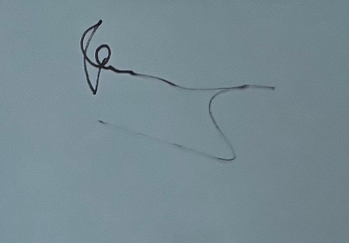 Signed autograph book - autograph, by