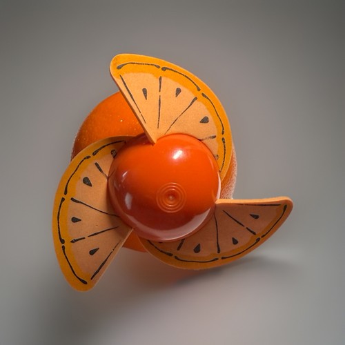 Vintage retro orange fruit - orange,