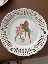 Vintage Lace Plate 20cm Featuring Parrots