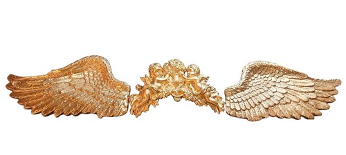 Pair chrome gold - pair,