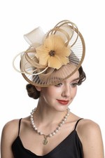 Elegant champagne gold Feather