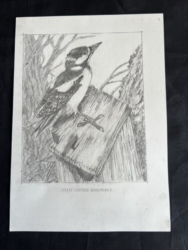 Original wildlife bird - original,